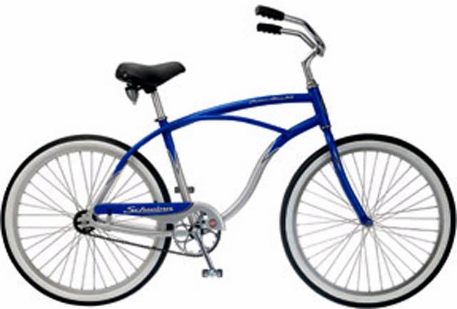 Schwinn alloy ss sale