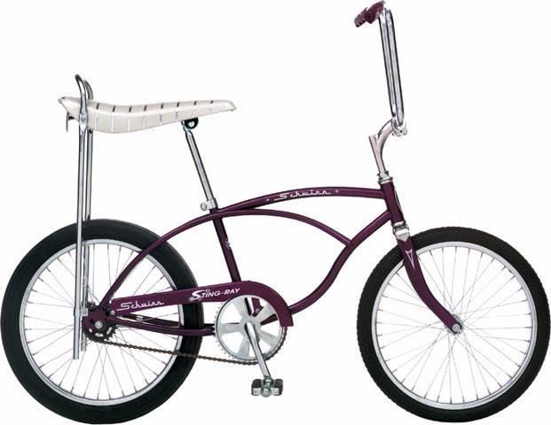 2006 schwinn stingray