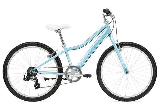 giant boulder jr mountain bike