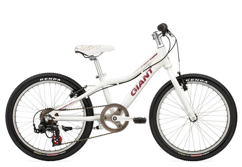 giant areva bike