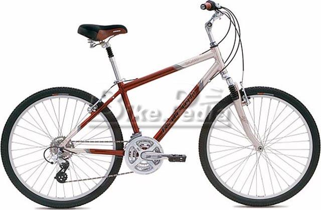 raleigh sc40 mens bike