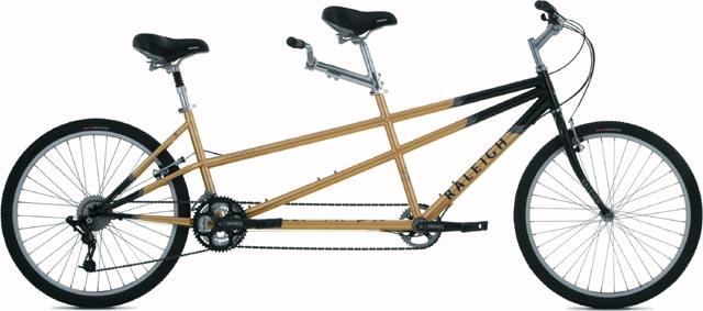 raleigh companion tandem bike