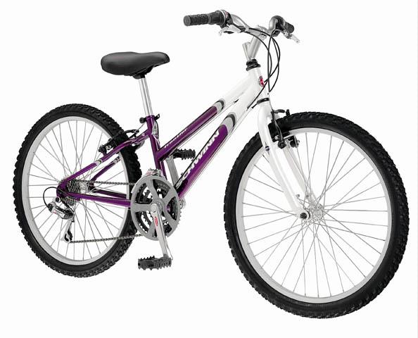 Schwinn cheap frontier 24