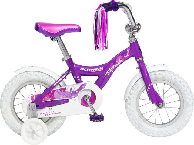 schwinn tigress