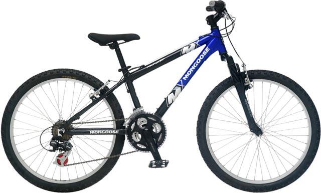 2007 mongoose mountain bike