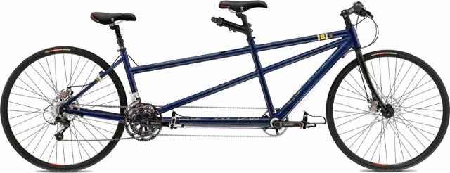 raleigh tandem bike value